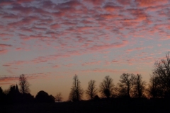 photo-14-12-2010-16-55-49