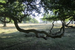 photo-15-10-2011-11-33-37
