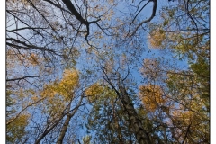 photo-15-11-2011-11-47-41