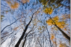 photo-15-11-2011-11-51-57
