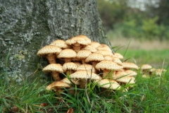 photo-15-11-2011-18-50-57