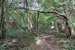 photo-16-10-2011-14-31-35