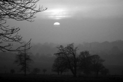 photo-17-02-2011-17-57-38