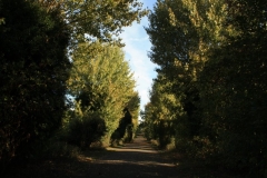 photo-17-10-2011-11-38-43