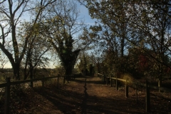photo-17-10-2011-11-55-10