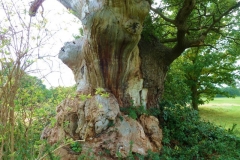 photo-17-11-2011-14-51-26