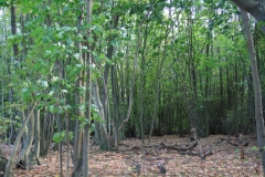 photo-18-10-2011-16-26-57