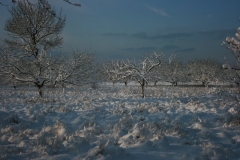 photo-18-12-2009-11-16-46