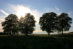 photo-20-08-2011-18-48-26