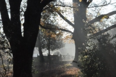 photo-20-11-2011-09-51-31