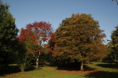 photo-21-10-2011-13-04-01