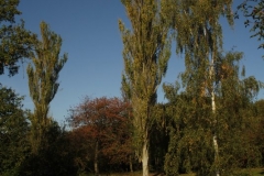 photo-21-10-2011-13-08-12