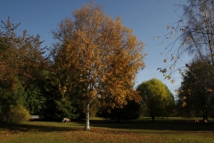 photo-21-10-2011-13-18-00