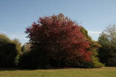 photo-21-10-2011-13-22-18