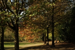 photo-21-10-2011-13-41-14