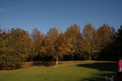 photo-21-10-2011-13-43-01