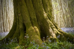 photo-22-04-2011-14-49-30