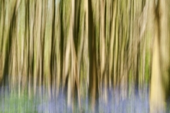 photo-22-04-2011-15-10-14