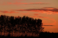 photo-23-10-2010-17-48-33