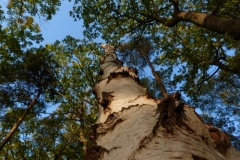 photo-23-10-2011-16-26-49