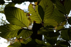photo-23-10-2011-16-36-34