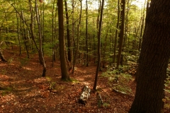 photo-23-10-2011-16-44-28