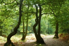 photo-24-09-2011-11-32-00