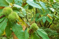 photo-24-09-2011-11-38-20