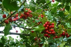 photo-24-09-2011-11-44-04