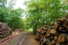 photo-24-09-2011-12-20-05
