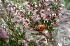 photo-24-09-2011-12-28-05