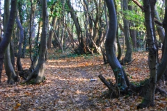 photo-24-10-2011-09-15-12