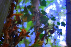 photo-24-10-2011-09-18-12