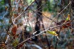 photo-24-10-2011-09-26-14