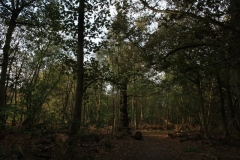 photo-24-10-2011-11-37-19