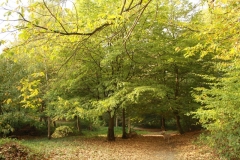 photo-24-10-2011-11-46-50