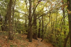 photo-24-10-2011-11-52-17