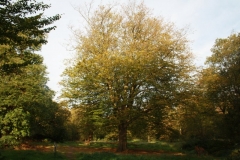 photo-24-10-2011-12-03-59