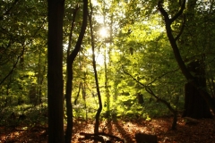 photo-24-10-2011-12-07-04