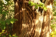 photo-24-10-2011-12-10-46