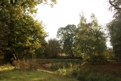 photo-24-10-2011-12-12-13