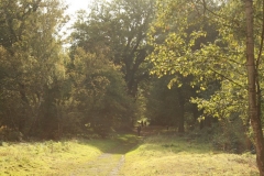 photo-24-10-2011-12-20-02