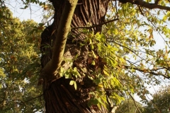 photo-24-10-2011-12-26-31