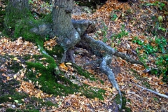 photo-24-10-2011-16-40-33