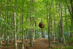 photo-25-06-2011-14-33-19