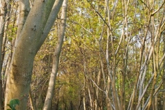 photo-25-11-2011-14-02-58