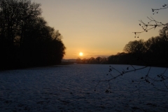 photo-25-12-2010-15-53-35