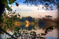 photo-26-11-2010-14-21-45