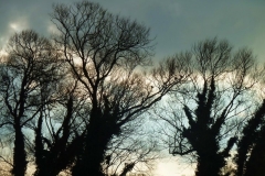 photo-27-01-2011-14-40-22