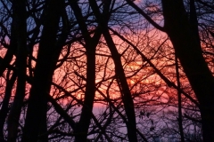photo-28-11-2010-16-53-58